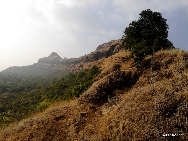 Madhu makarandgad
